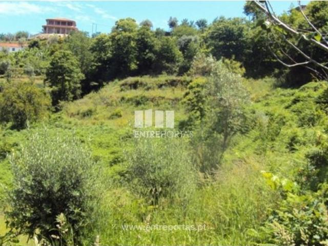 Terreno venda em Tarouquela, Viseu