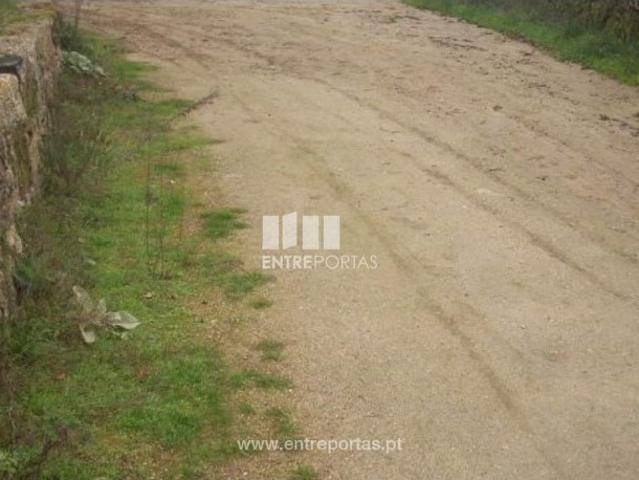 Terreno venda em Várzea do Douro, Várzea