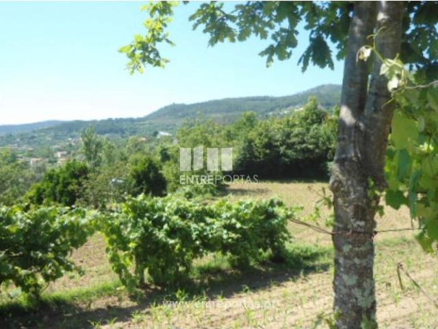 Terreno venda em Nespereira, Viseu