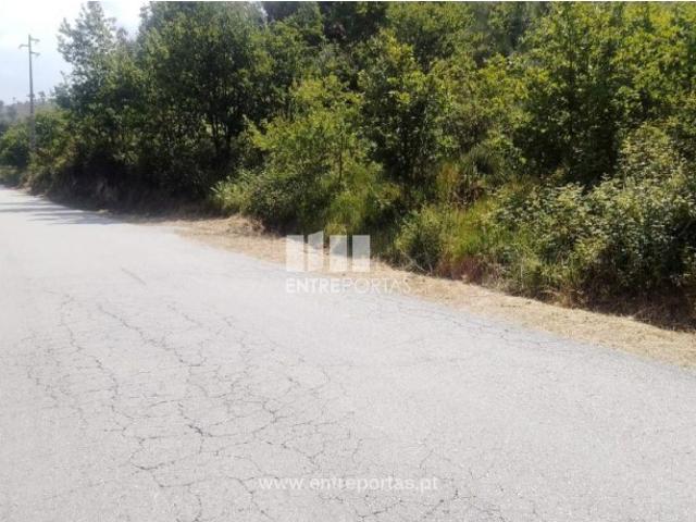 Terreno venda em Tarouquela, Viseu
