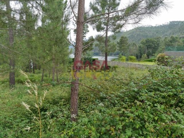 Terreno venda em Rego Da Murta, Santarém