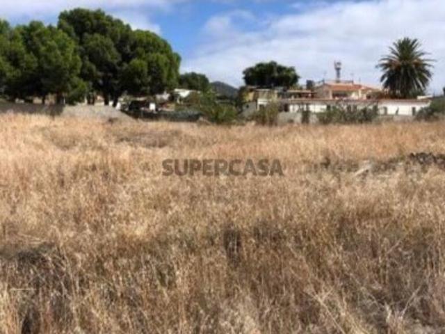 Terreno venda em Ilha Da Madeira