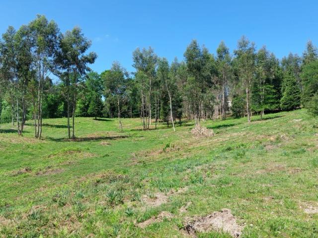 Terreno venda em Postemião, Parada Do Bouro