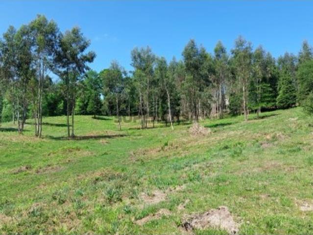 Terreno venda em Parada Do Bouro, Braga