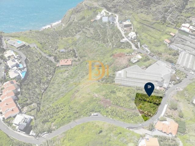 Terreno venda em Pico da Cruz, Ribeira Brava
