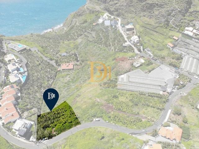 Terreno venda em Pico da Cruz, Ribeira Brava
