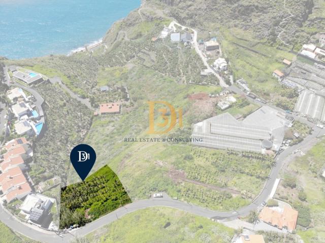 Terreno venda em Ribeira Brava, Ilha Da Madeira