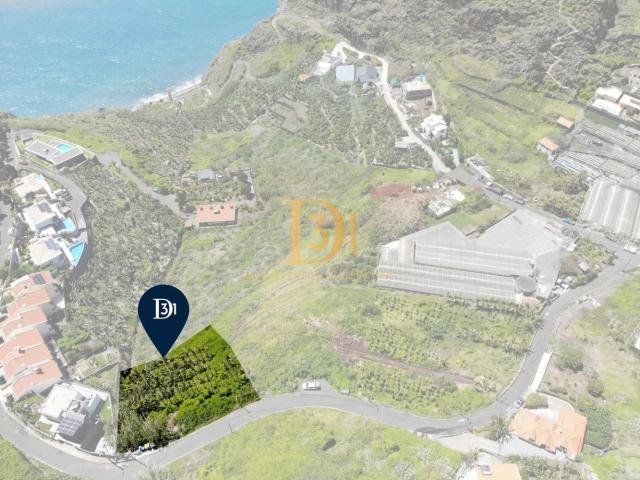 Terreno venda em Ribeira Brava, Ilha Da Madeira