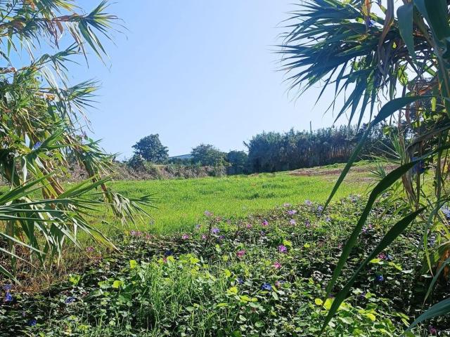 Terreno en venta en El Cantillo, Tacoronte