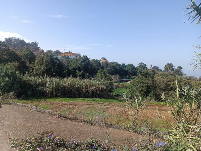 Terreno en venta en El Cantillo, Tacoronte
