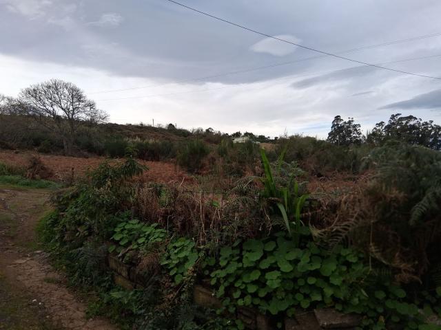 Terreno en venta en El Cantillo, Tacoronte
