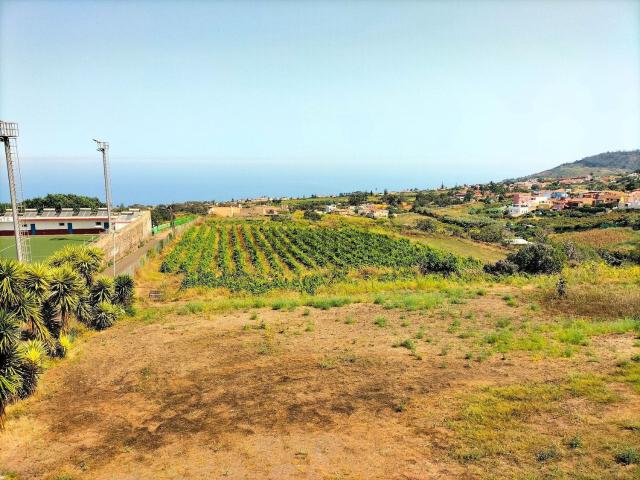 Terreno en venta en El Cantillo, Tacoronte