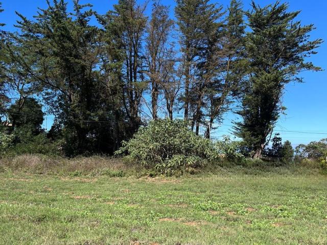 Terreno en venta en Tacoronte, Canarias