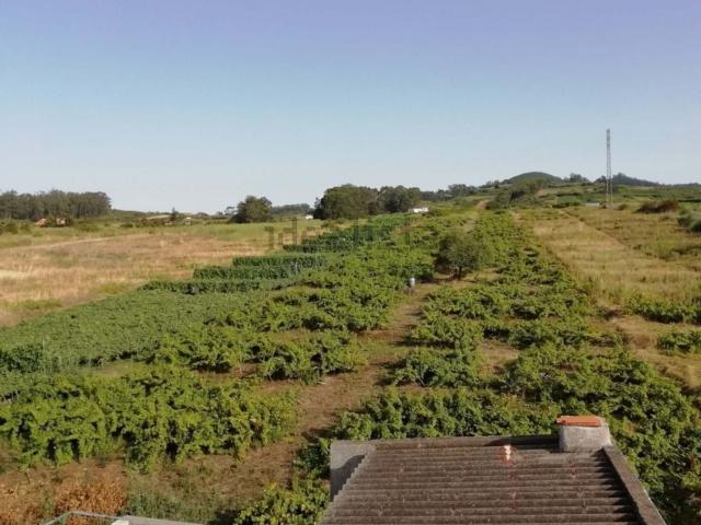 Terreno en venta en Tacoronte, Canarias