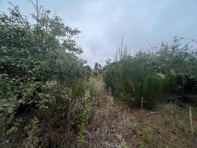 Terreno en venta en El Cantillo, Tacoronte