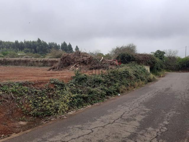 Terreno en venta en Campo de Golf, Tacoronte
