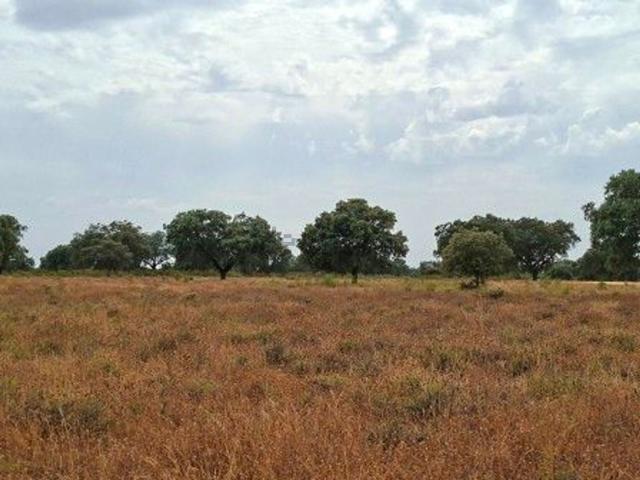 Terreno en venta en Talaván, Extremadura