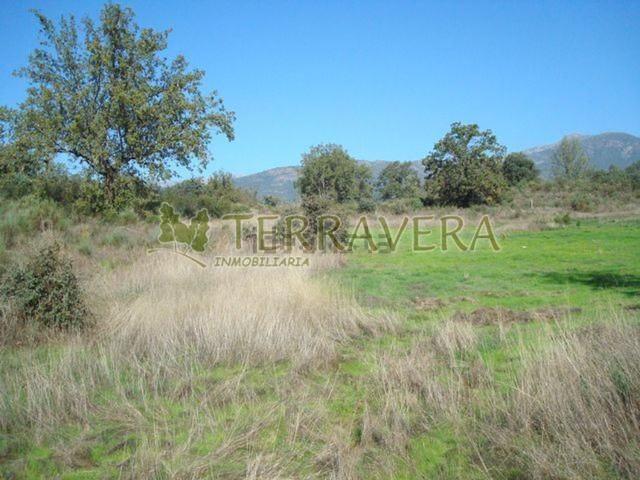 Terreno en venta en Talaveruela De La Vera, Extremadura