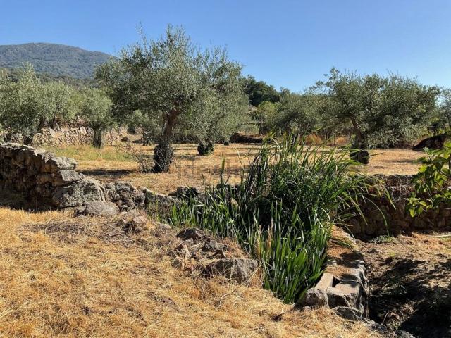 Terreno en venta en Talaveruela de la Vera, Cáceres
