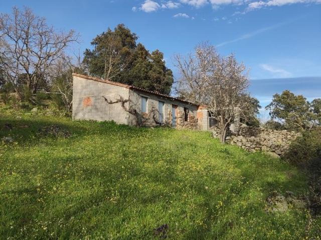 Terreno en venta en Talaveruela De La Vera, Extremadura