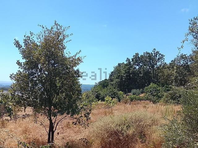 Terreno en venta en Talaveruela De La Vera, Extremadura