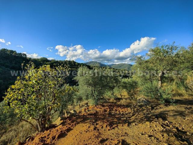 Terreno en venta en Talaveruela De La Vera, Extremadura