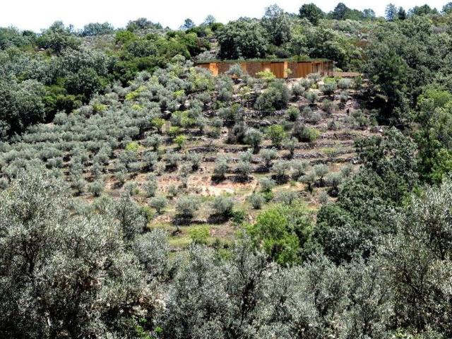 Terreno en venta en Talaveruela De La Vera, Extremadura