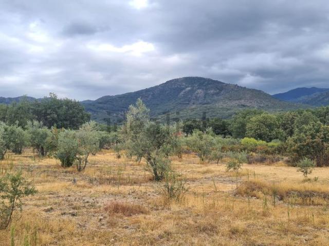 Terreno en venta en Talaveruela De La Vera, Extremadura