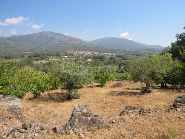 Terreno en venta en Talaveruela De La Vera, Extremadura