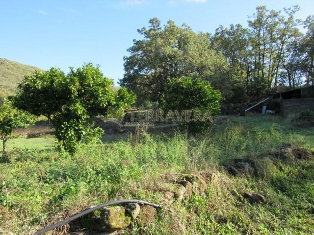 Terreno en venta en Talaveruela De La Vera, Extremadura