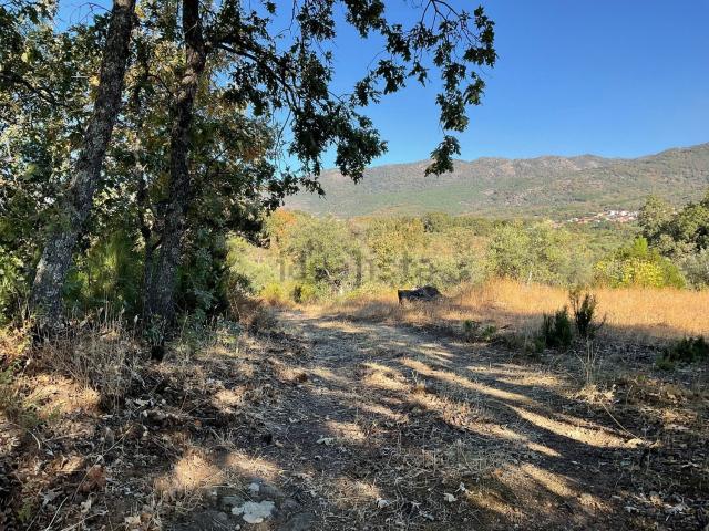 Terreno en venta en Talaveruela De La Vera, Extremadura