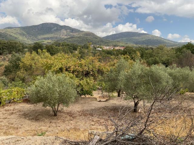 Terreno en venta en Talaveruela De La Vera, Extremadura