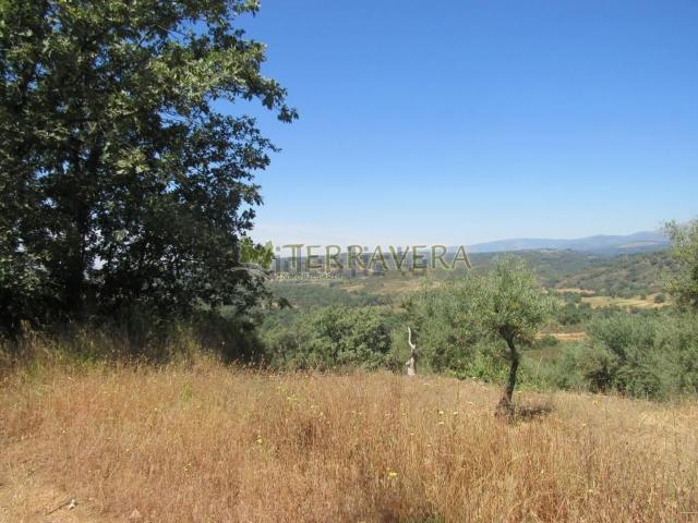 Terreno en venta en Talaveruela De La Vera, Extremadura