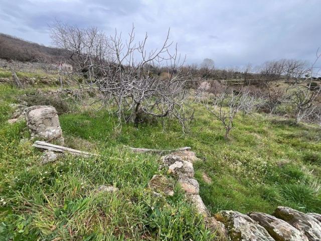 Terreno en venta en Talaveruela De La Vera, Extremadura