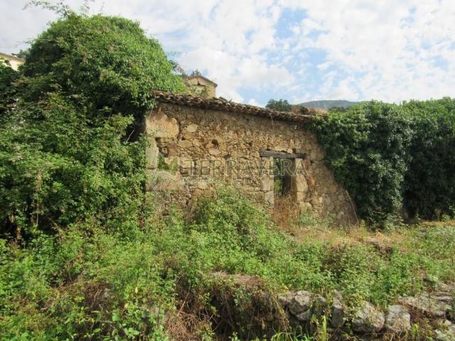 Terreno en venta en Talaveruela De La Vera, Extremadura