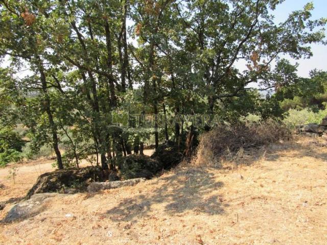 Terreno en venta en Talaveruela De La Vera, Extremadura