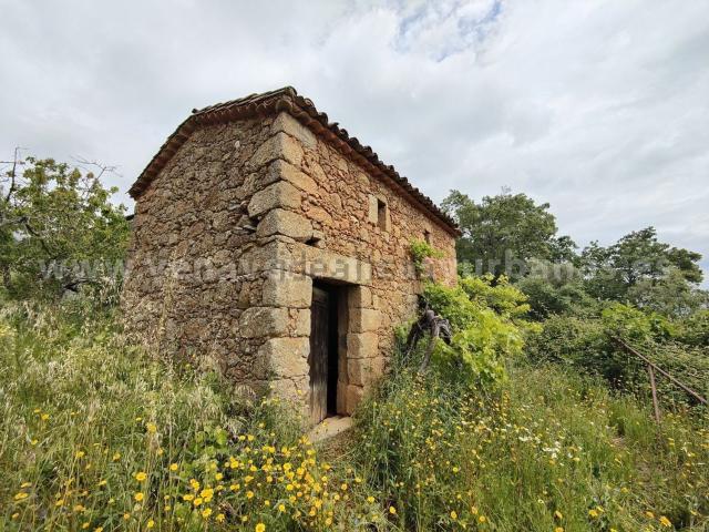 Terreno en venta en Talaveruela De La Vera, Extremadura
