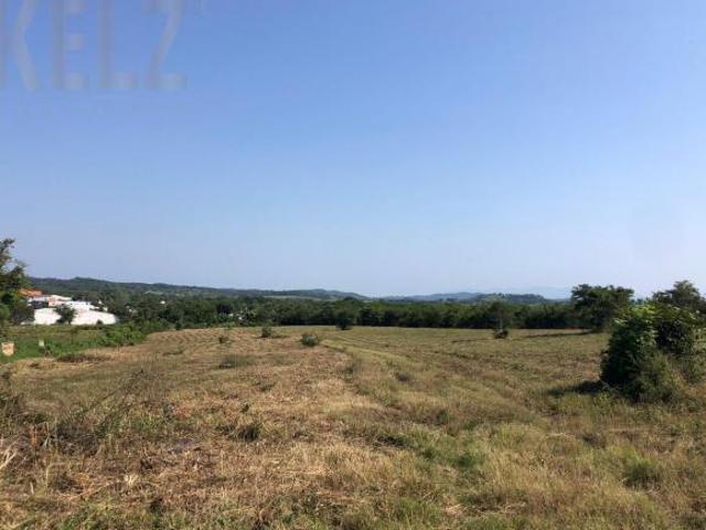 Terreno Tantoyuca Centro