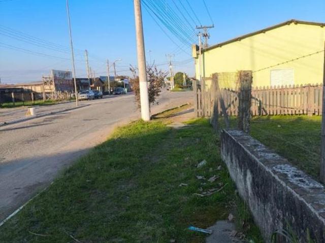 Terreno venda em Tapes