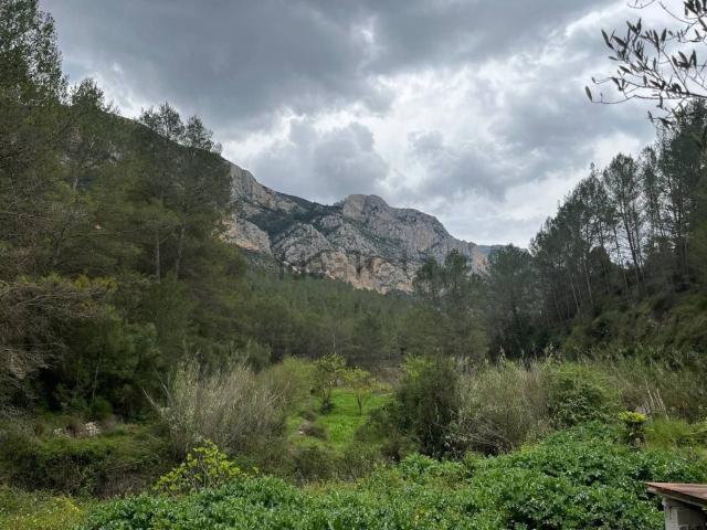 Terreno en venta en la Marina Baixa, Valencia