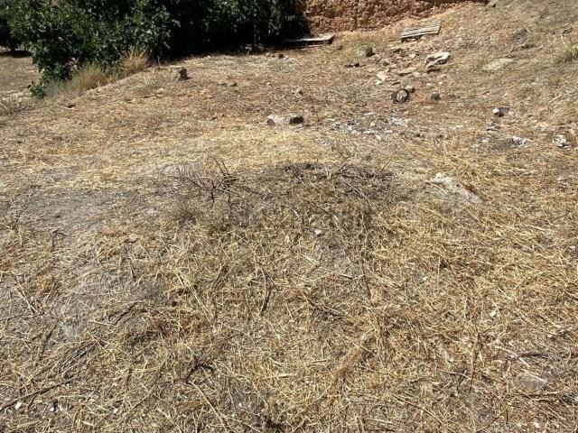 Terreno en venta en Claravalls, Urgell