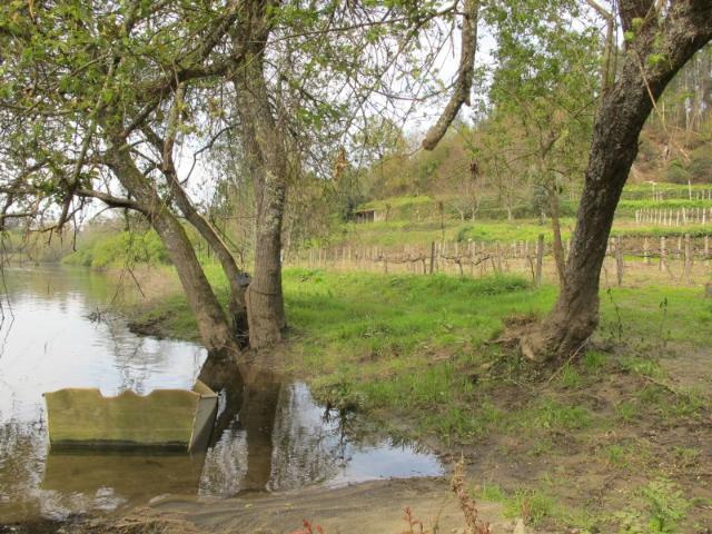 Terreno venda em Arcos De Valdevez, Viana Do Castelo