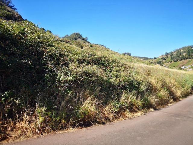 Terreno en venta en Tegueste, Canarias