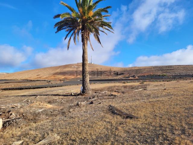 Terreno en venta en Teguise, Canarias