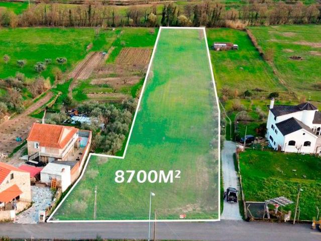 Terreno venda em Castelo Branco