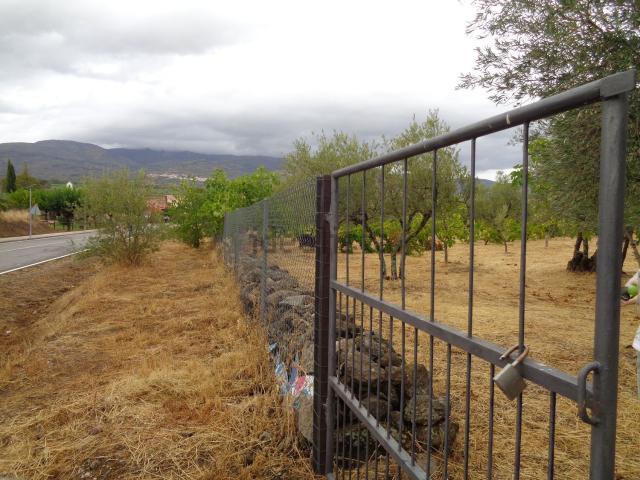 Terreno en venta en Tejeda De Tiétar, Extremadura