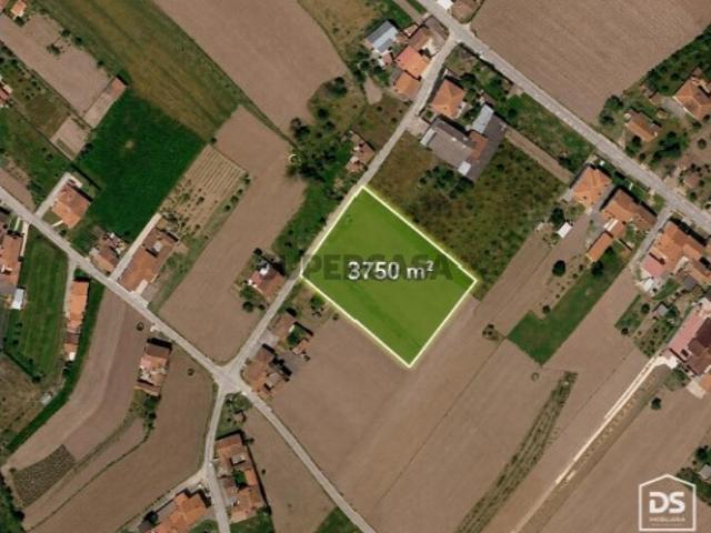 Terreno venda em Pombal, Louriçal