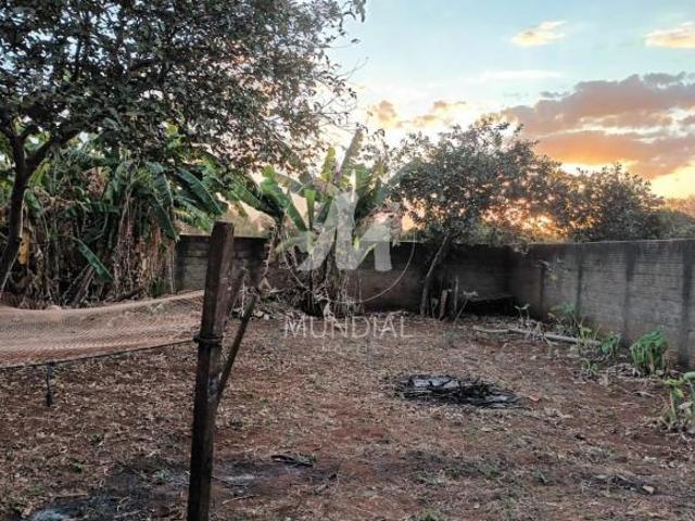 Terreno venda em Região Imediata de Ribeirão Preto, Região Metropolitana de Ribeirão Preto