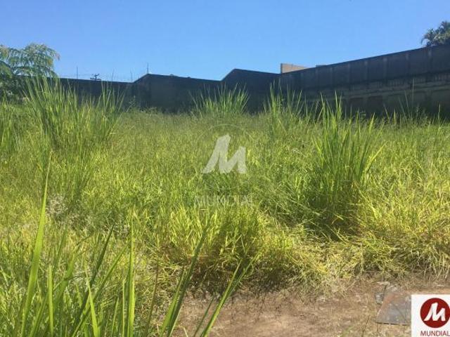 Terreno venda em Região Imediata de Ribeirão Preto, Região Metropolitana de Ribeirão Preto