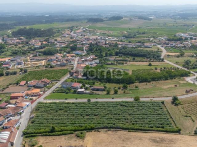 Terreno venda em Anadia, Aveiro